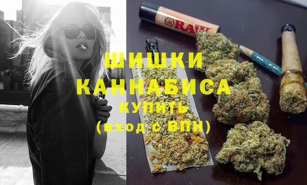 шишки Новокубанск