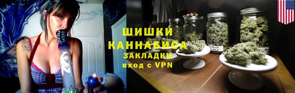 шишки Новокубанск