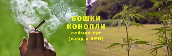 амф Нязепетровск