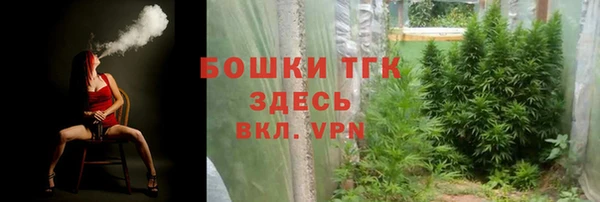 шишки Новокубанск