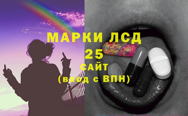 шишки Новокубанск