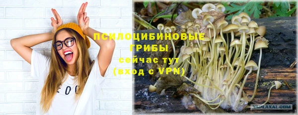 кокс Няндома