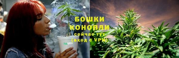 2c-b Нягань