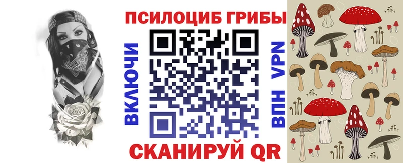 закладка  Кирс  Псилоцибиновые грибы прущие грибы 